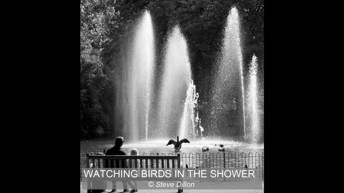 Watching Birds in the Shower Steve Dillon 18 points